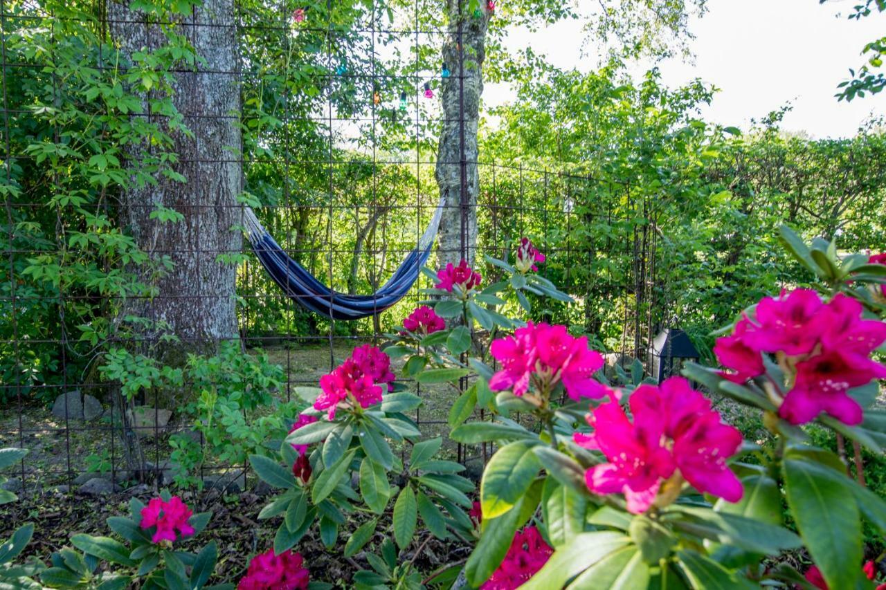 Olsegarden Bed & Breakfast